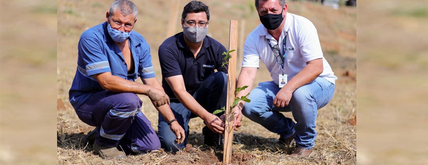 Na Semana da Árvore, Sanessol reforça a importância dos cuidados com o meio ambiente para o desenvolvimento de Mirassol