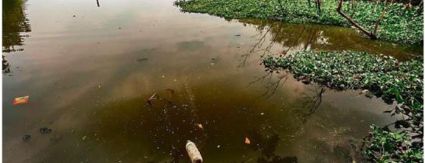 Limpeza das lagoas de Jacarepaguá e da Barra começa já no mês que vem