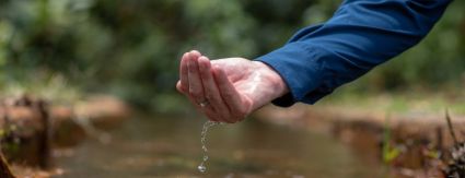 SUSTENTABILIDADE: Águas Alta Floresta promove recuperação ambiental com o Programa Adote uma Nascente