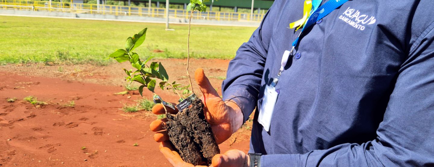 Iguaçu Saneamento celebra cem dias de operações com plantio de árvores