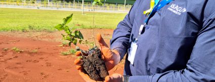 Iguaçu Saneamento celebra cem dias de operações com plantio de árvores