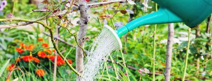 Férias de verão pedem atenção redobrada no uso da água