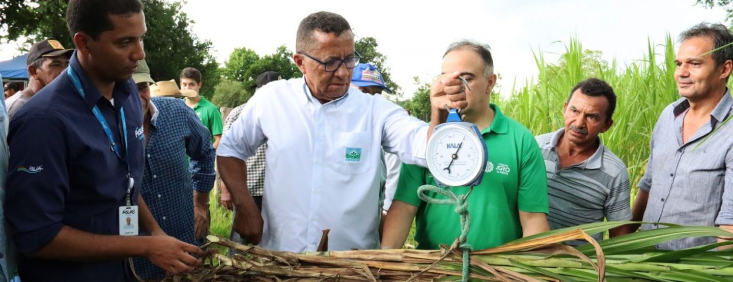 Uso de biolodo nas pastagens aumenta produção leiteira em Cuiabá