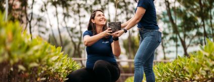 Dia da Árvore: Iguá atua pela preservação dos biomas brasileiros