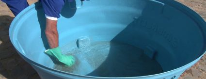 Higienização periódica de reservatórios residenciais previne doenças e garante qualidade da água