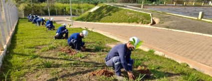 Sanessol realiza plantio de mudas no Dia Mundial do Meio Ambiente em Mirassol