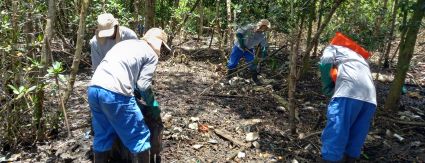 Ação de limpeza nas lagoas de Jacarepaguá começa hoje